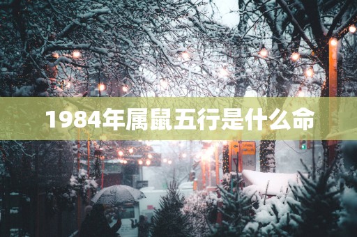 1984年属鼠五行是什么命