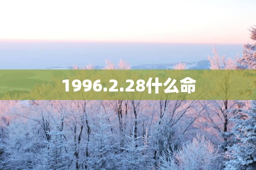 1996.2.28什么命