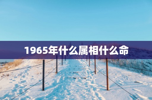 1965年什么属相什么命