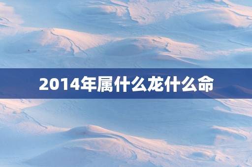 2014年属什么龙什么命