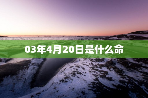 03年4月20日是什么命