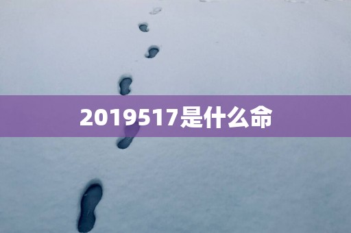 2019517是什么命