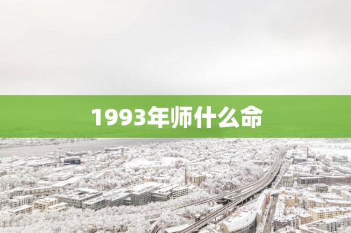 1993年师什么命