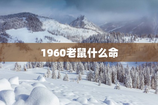 1960老鼠什么命