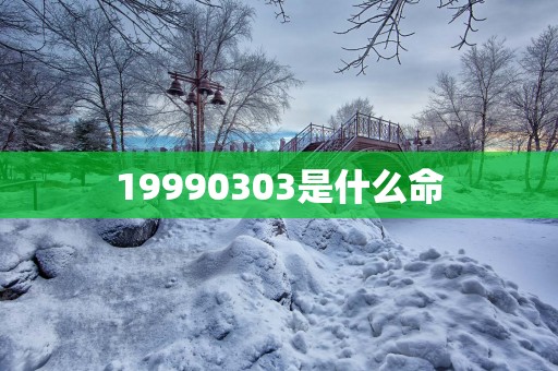 19990303是什么命