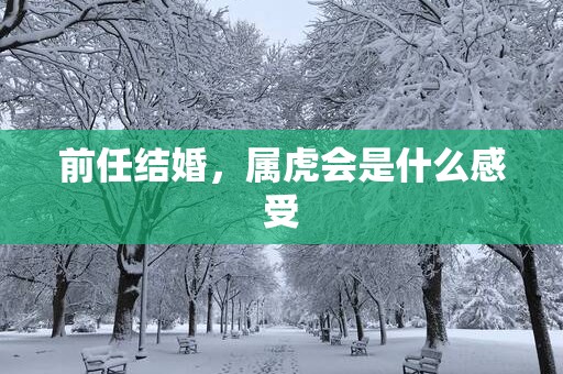 前任结婚，属虎会是什么感受