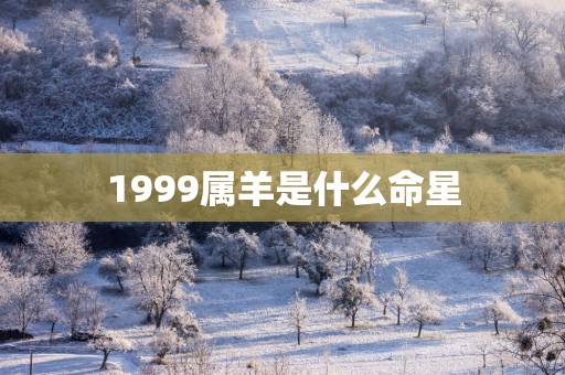 1999属羊是什么命星