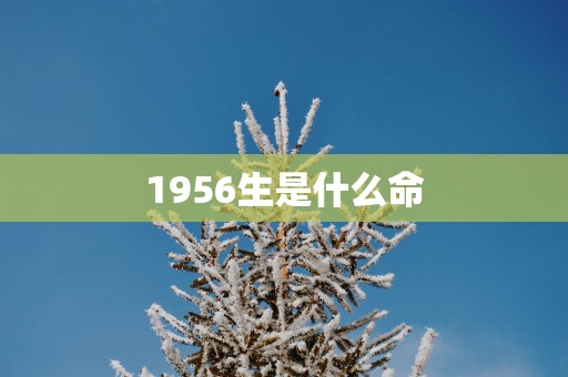 1956生是什么命