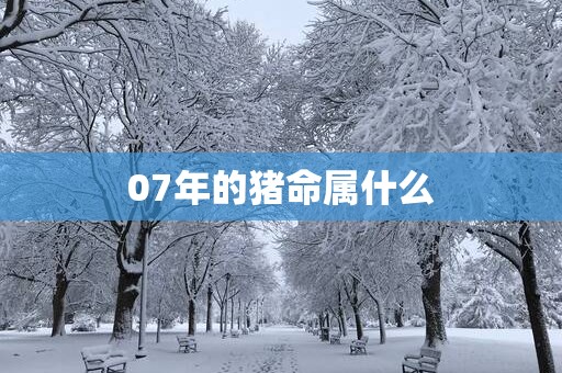 07年的猪命属什么