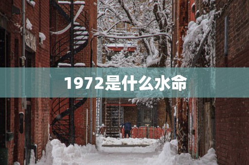1972是什么水命