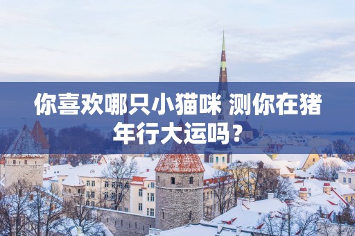 你喜欢哪只小猫咪 测你在猪年行大运吗？