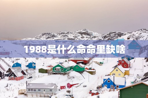 1988是什么命命里缺啥 1988是什么命命里缺啥