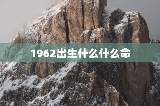 1962出生什么什么命