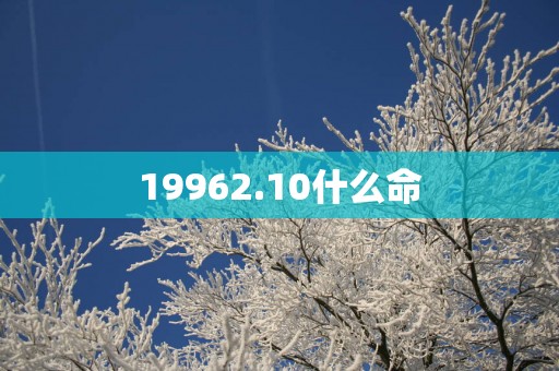 19962.10什么命