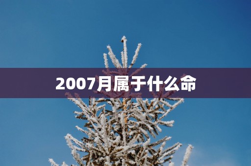 2007月属于什么命