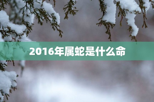 2016年属蛇是什么命