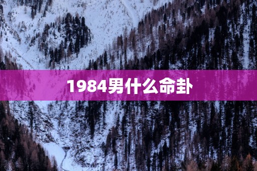 1984男什么命卦