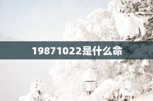 19871022是什么命