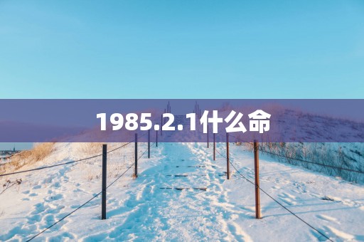 1985.2.1什么命