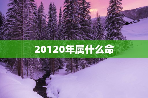 20120年属什么命