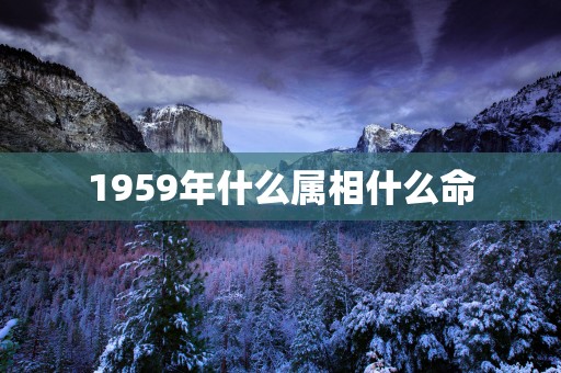 1959年什么属相什么命