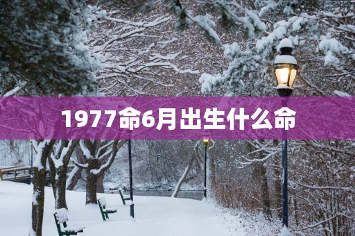 1977命6月出生什么命
