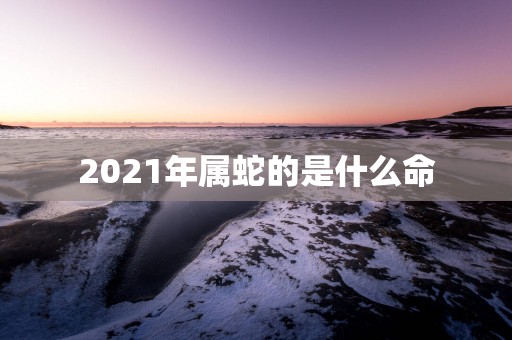 2025年属蛇的是什么命