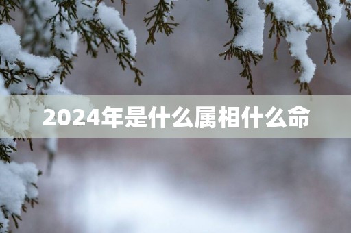 2025年是什么属相什么命