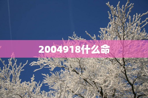 2004918什么命