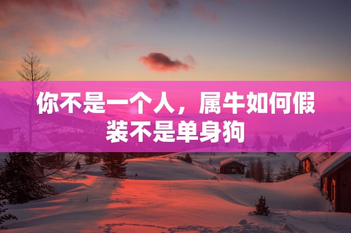 你不是一个人，属牛如何假装不是单身狗
