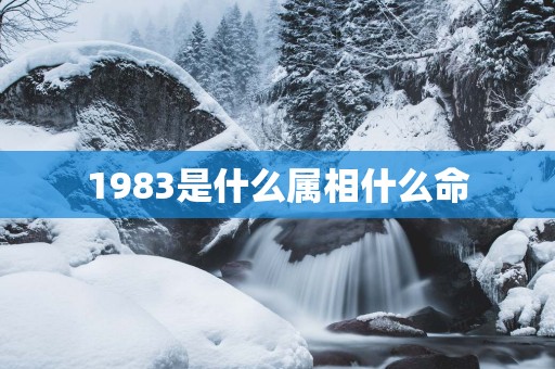 1983是什么属相什么命