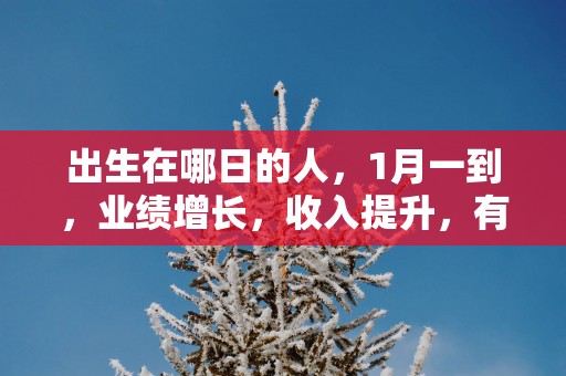 出生在哪日的人，1月一到，业绩增长，收入提升，有好运到来！