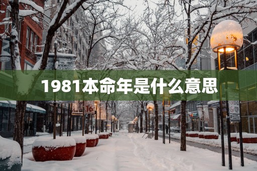 1981本命年是什么意思