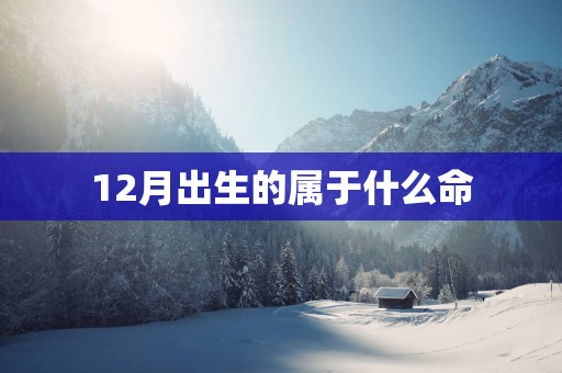 12月出生的属于什么命