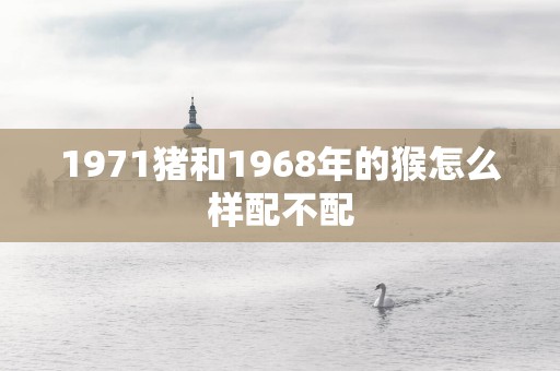 1971猪和1968年的猴怎么样配不配