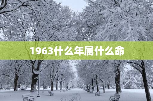 1963什么年属什么命