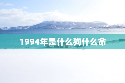 1994年是什么狗什么命