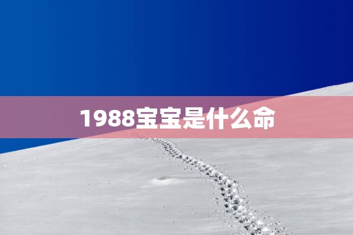 1988宝宝是什么命