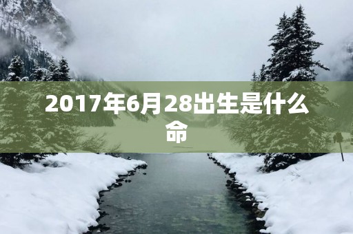 2017年6月28出生是什么命