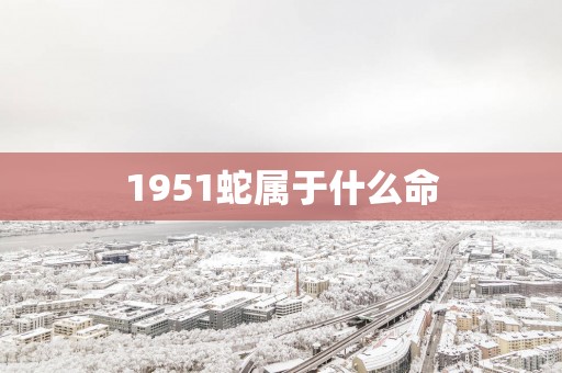 1951蛇属于什么命