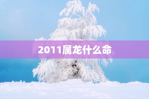 2011属龙什么命