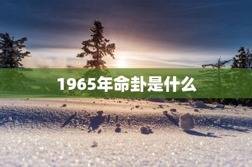 1965年命卦是什么
