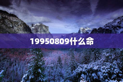 19950809什么命