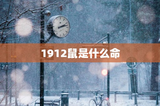 1912鼠是什么命