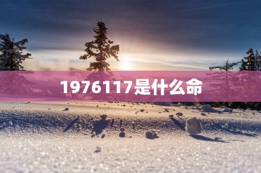 1976117是什么命