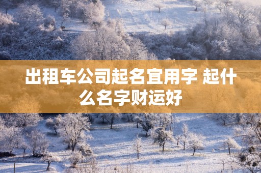 出租车公司起名宜用字 起什么名字财运好