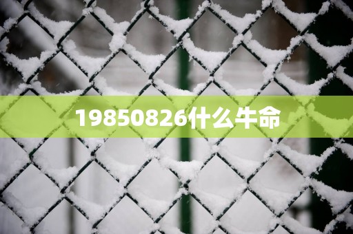 19850826什么牛命