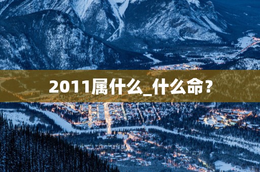 2011属什么_什么命？