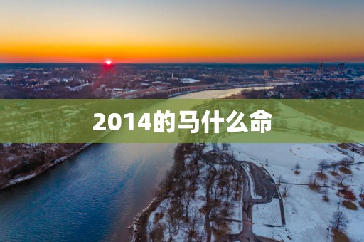 2014的马什么命