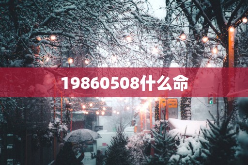 19860508什么命